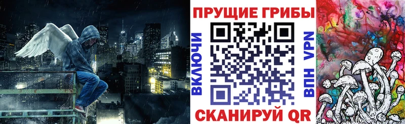 Псилоцибиновые грибы Psilocybe  Карасук 