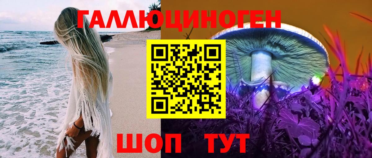Псилоцибиновые грибы Psilocybe Карасук