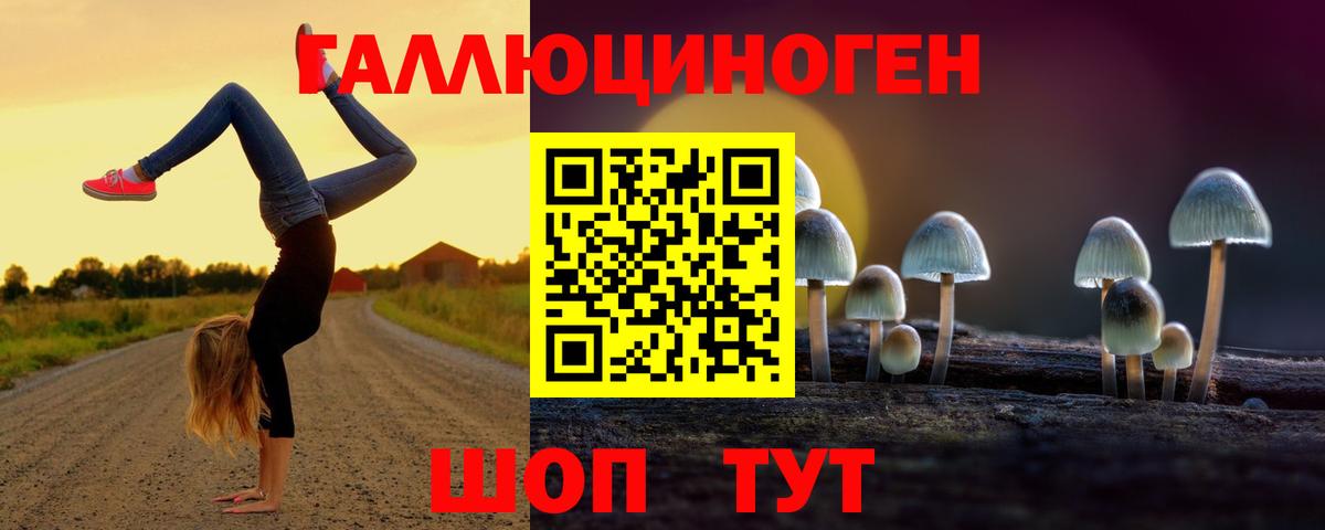 Карасук  Псилоцибиновые грибы GOLDEN TEACHER  Галлюциногенные грибы прущие грибы  закладка  Вход с VPN 